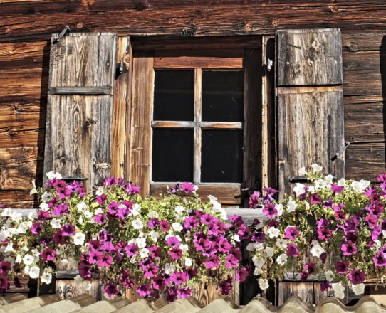 fenêtre fleurie, chalet