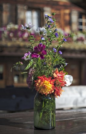bouquet de fleurs sauvage, barmaz